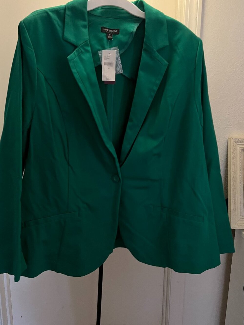 Lane Bryant Green Pant Suit.  Bundle Jacket W-28 -Slacks W26 - Picture 2 of 6